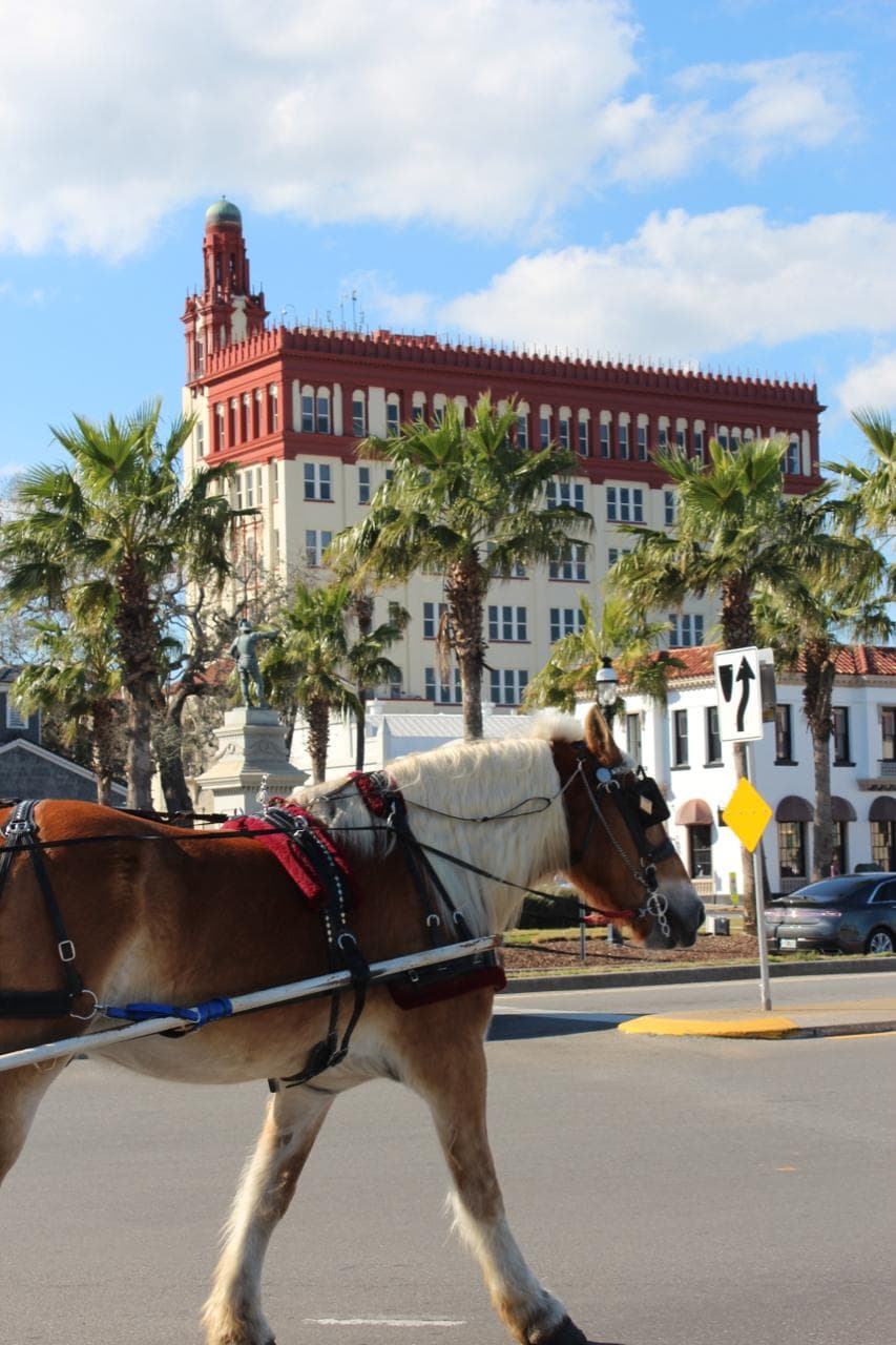 A horse-drawn carriage passing the Moorish Revival tower of the Casa Monica Hotel in downtown St. Augustine.
